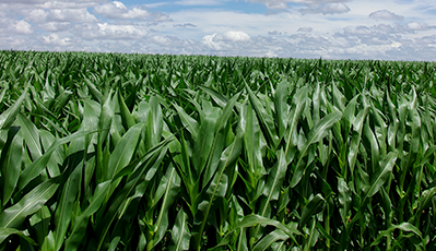 jbo������(�羺)-Ϊ���Ӿ�������,Ϊ��ҫ����