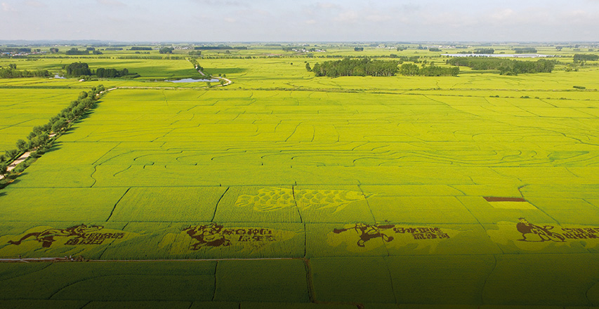 jbo������(�羺)-Ϊ���Ӿ�������,Ϊ��ҫ����