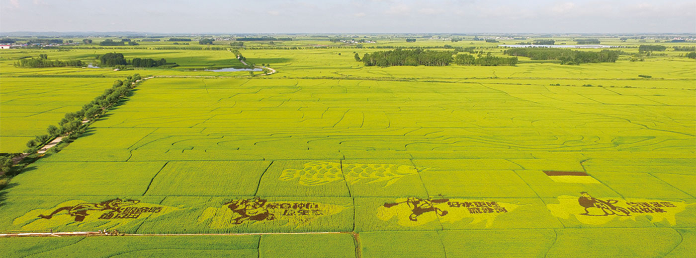 jbo������(�羺)-Ϊ���Ӿ�������,Ϊ��ҫ����