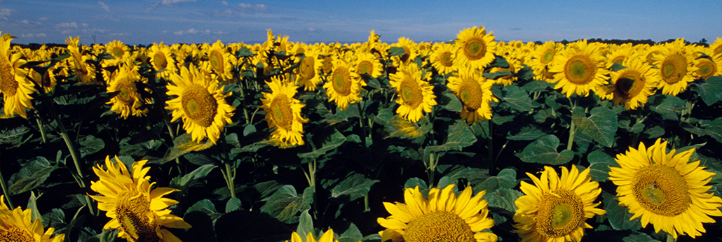 jbo������(�羺)-Ϊ���Ӿ�������,Ϊ��ҫ����